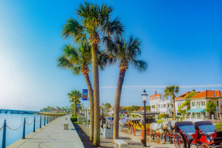 Waterfront street with horse-drawn carriages in St. Augustine