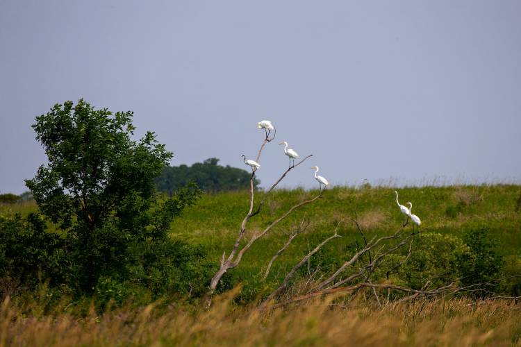 Bird Walk at Anastasia State Park