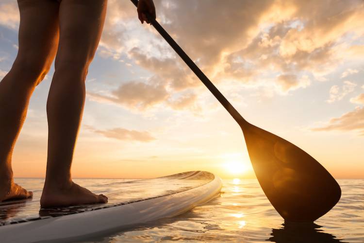 person on a stand-up paddleboard in the water at sunset