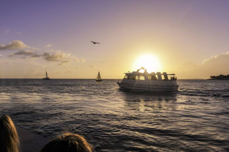 view of several boats on the water at sunset
