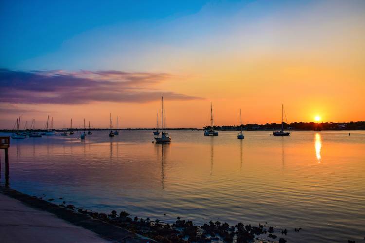 sailboats on water at sunset