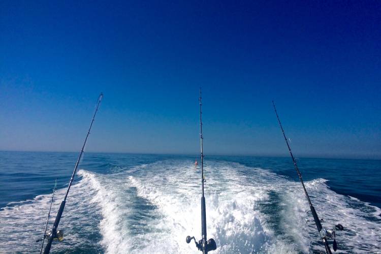 Three fishing poles on a charter deep sea fishing boat