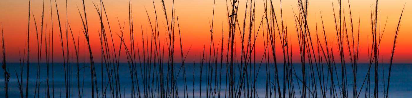 sunset view of dune grasses and water